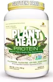 Genceutic Naturals Clean Vegan Plant Head Protein - Vanilla | 15 G Protein 1.7 Lbs Powder