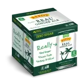 Soda Zr Sg Rl Gin Al 4Pk, 48 Fo.