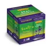 Soda Blackberry Ginger Ale 4Pk - 48 Fo
