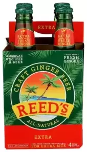 Soda 4Pk Ginger Extra