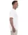 10151.webp