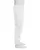 11721.webp