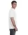 11753.webp