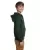 12030.webp