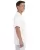 1401.webp