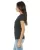 14250.webp