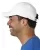 14525.webp