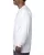 14586.webp
