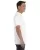 15213.webp