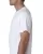 159231.webp