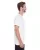 176517.webp