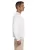 20829.webp