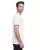 21046.webp