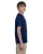 21136.webp
