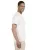 21222.webp