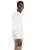 21272.webp