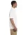 21297.webp