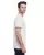 21507.webp