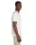 21793.webp