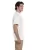 21859.webp
