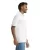 21888.webp