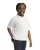 21897.webp