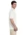 22273.webp