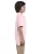 23455.webp
