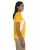 23773.webp
