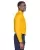 23838.webp