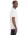2491.webp