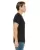 2593.webp