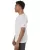 28065.webp