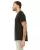 29278.webp