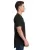 31551.webp