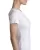 31910.webp