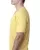32281.webp