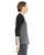 3343.webp
