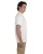 418.webp