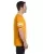 4417.webp