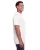 459500.webp
