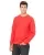 4994.webp