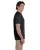 5076.webp