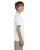 5087.webp