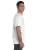 5181.webp