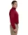 5227.webp