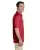 5569.webp