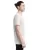 6275.webp