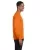 6843.webp