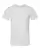 100131_f_fl.webp